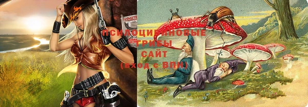 эйфоретик Пестово