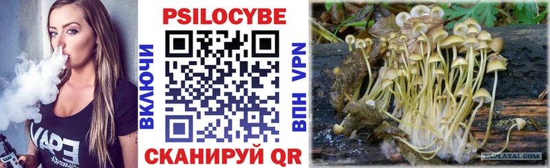 Псилоцибиновые грибы Psilocybine cubensis  Анадырь 